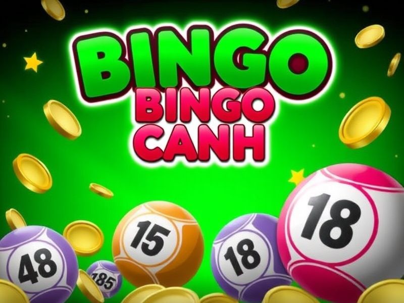 Welcome to BINGO CASH, the premier online platform for thrilling bingo games with real money prizes. Play free or win big with our exclusive bonuses and secure gambling environment.